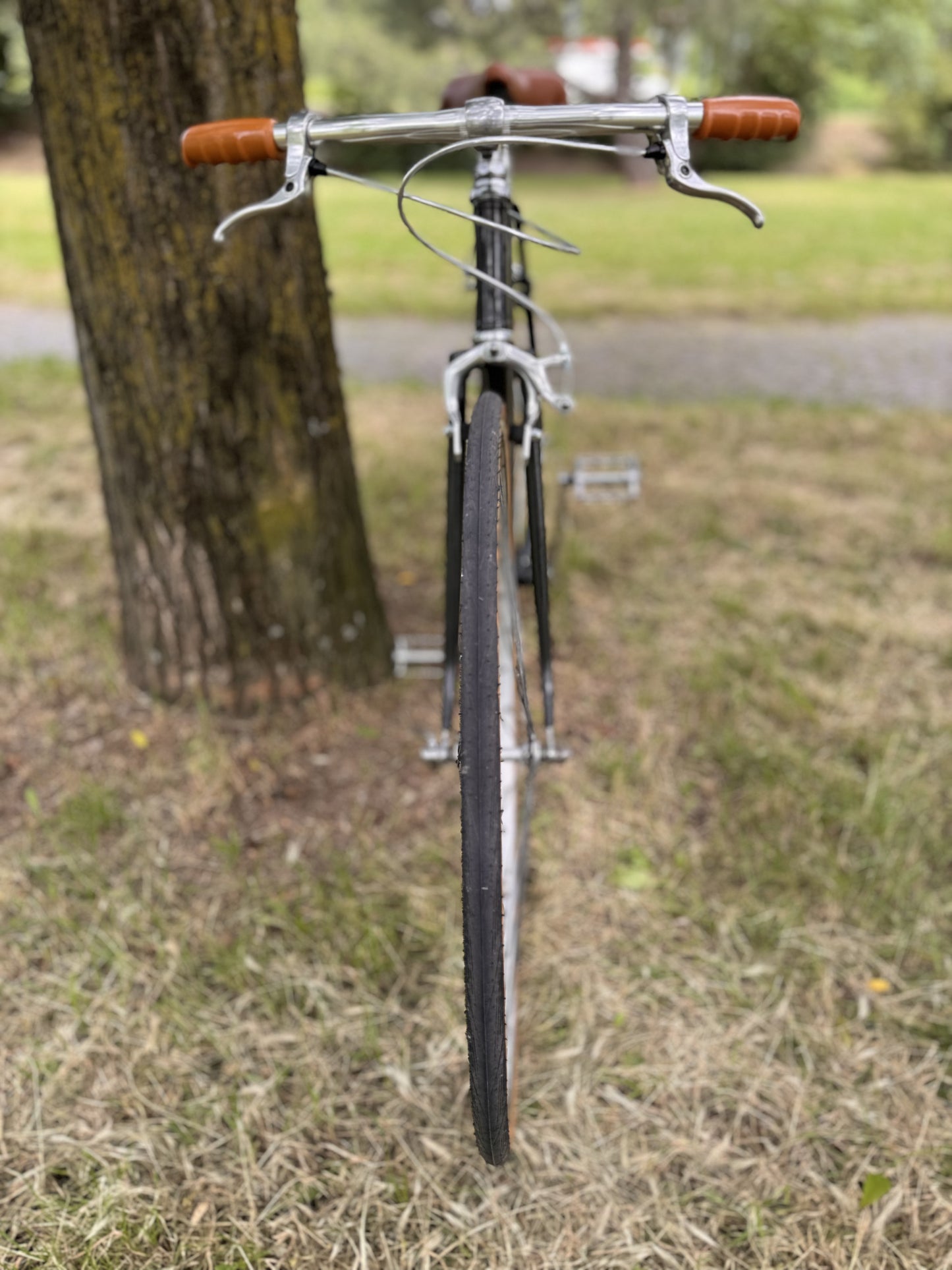 Classic city bike