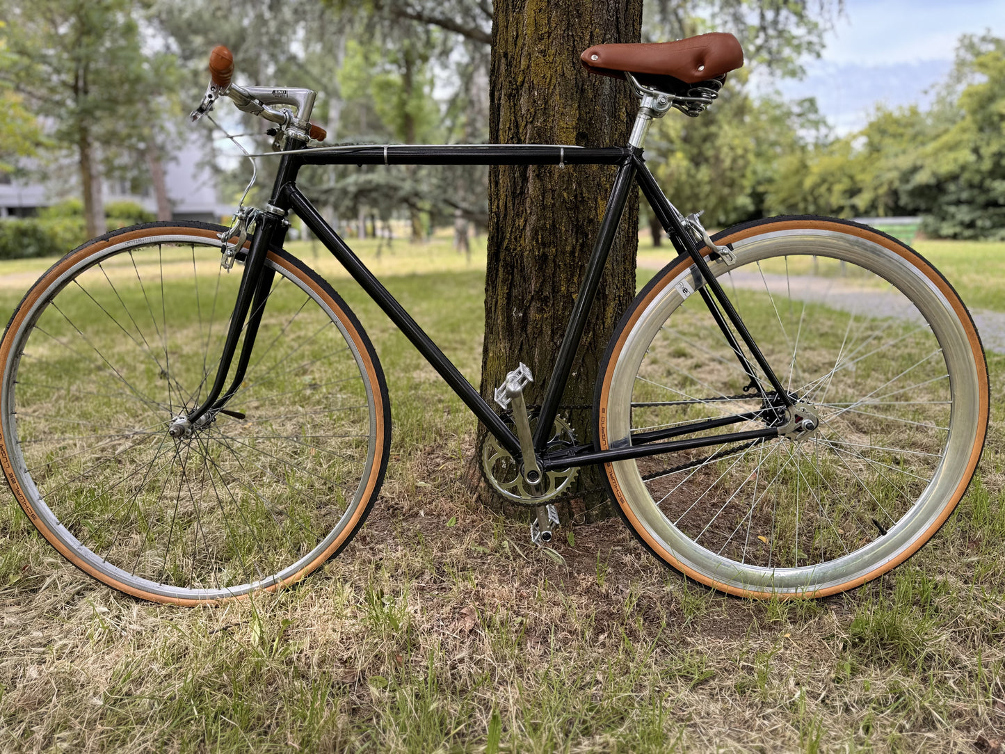 Classic city bike